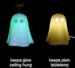 Kaspa, the Eco Friendly Ghost light
